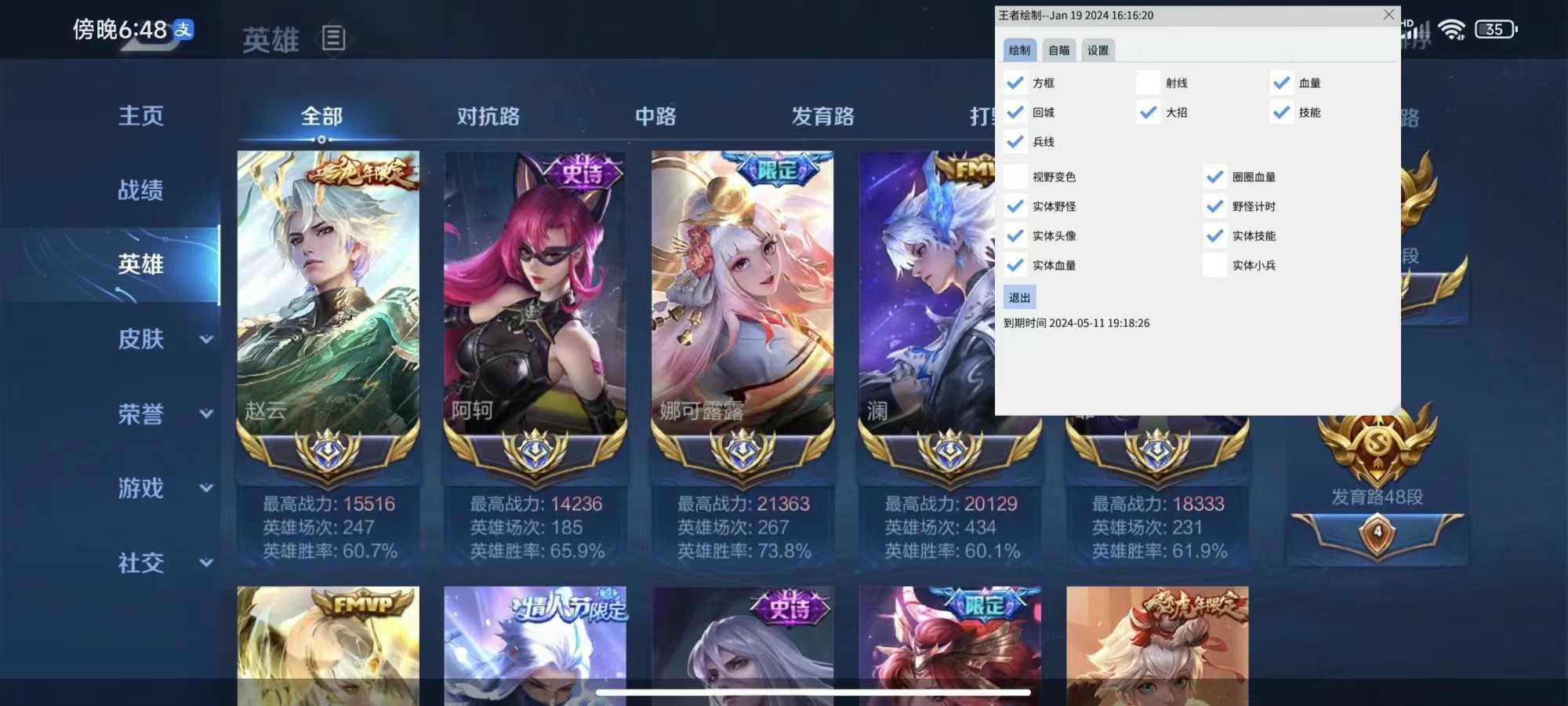王者荣耀巅峰王者辅助